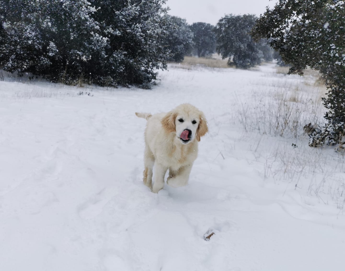 137222616_4055711734461448_1934157556910429854_n