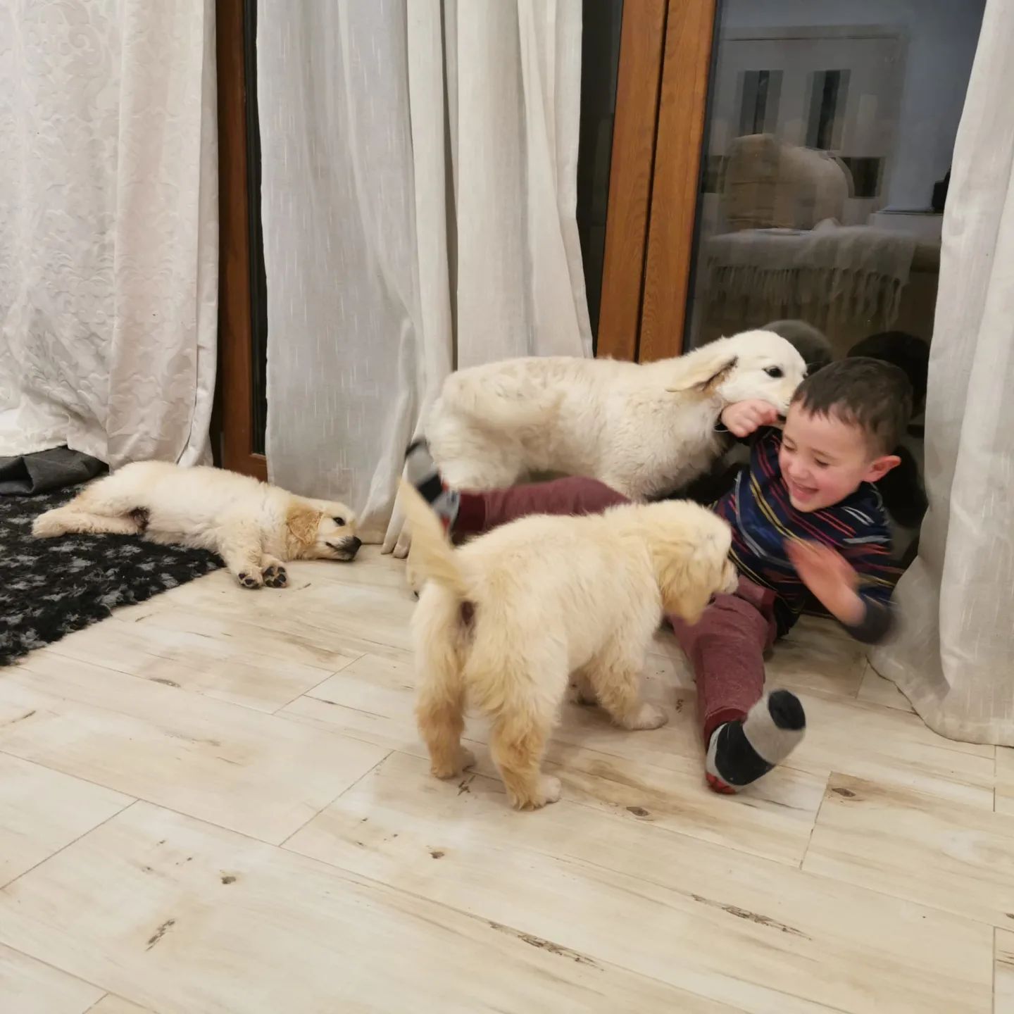 293456287_5765000666865871_2477273541238626552_n