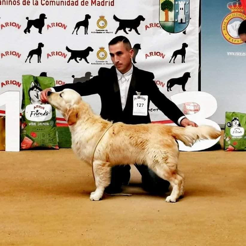 320420412_662368862262138_2509381933220051654_n