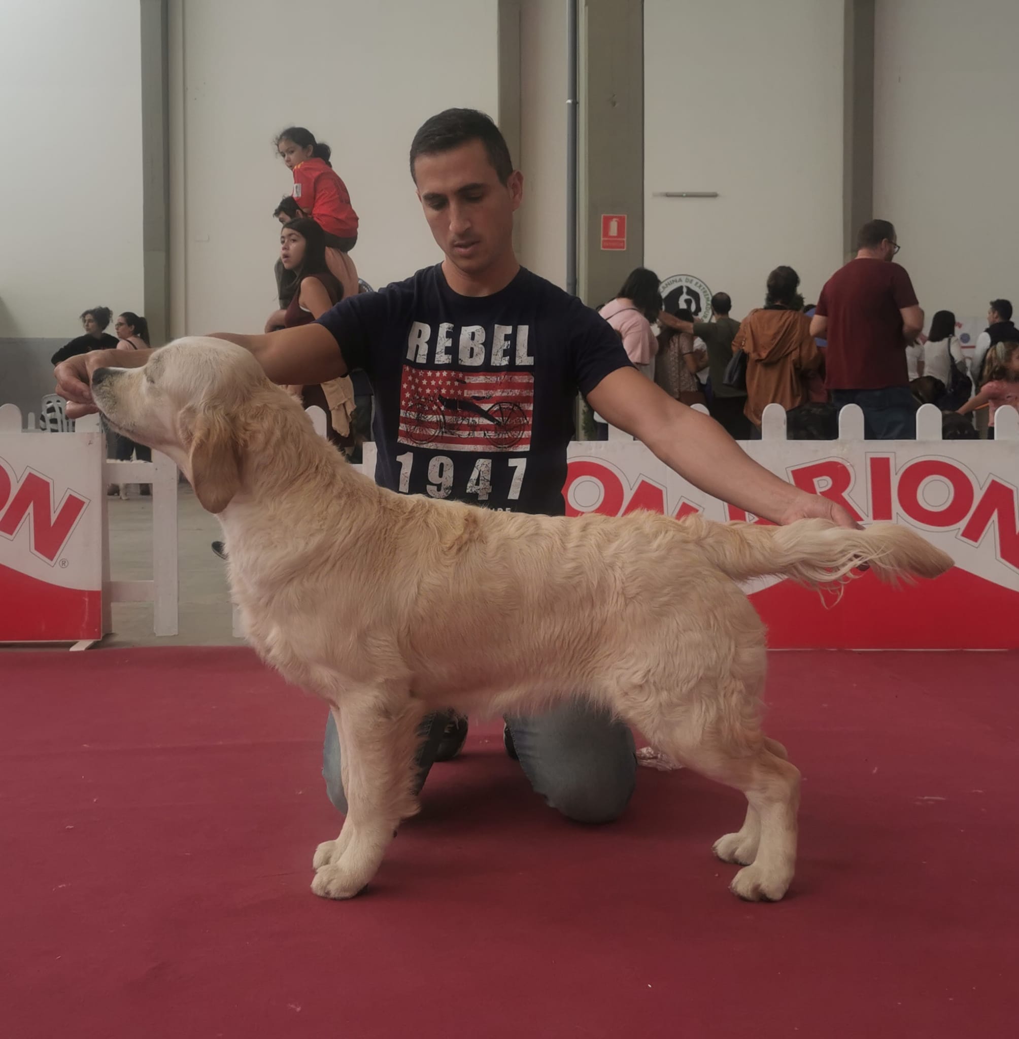 320624517_528778022530931_1152519851472523305_n