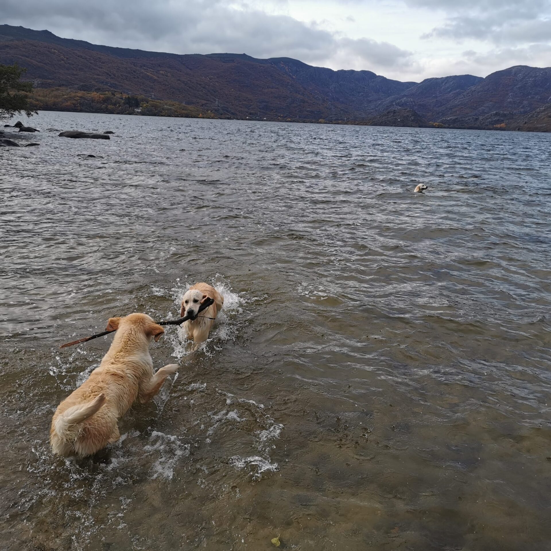 320702895_1491110721374336_1239157388738786684_n