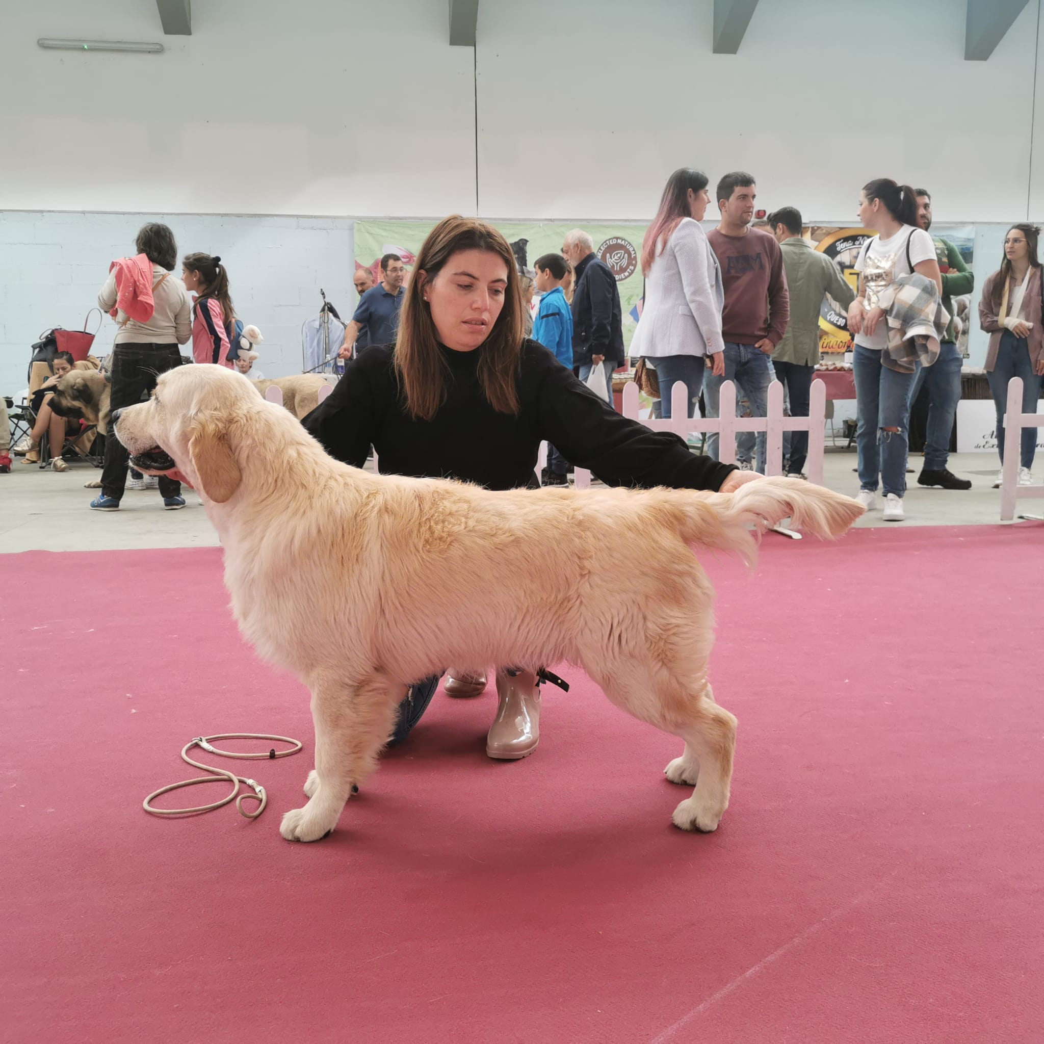 320782707_827940388491978_2558862368567798964_n