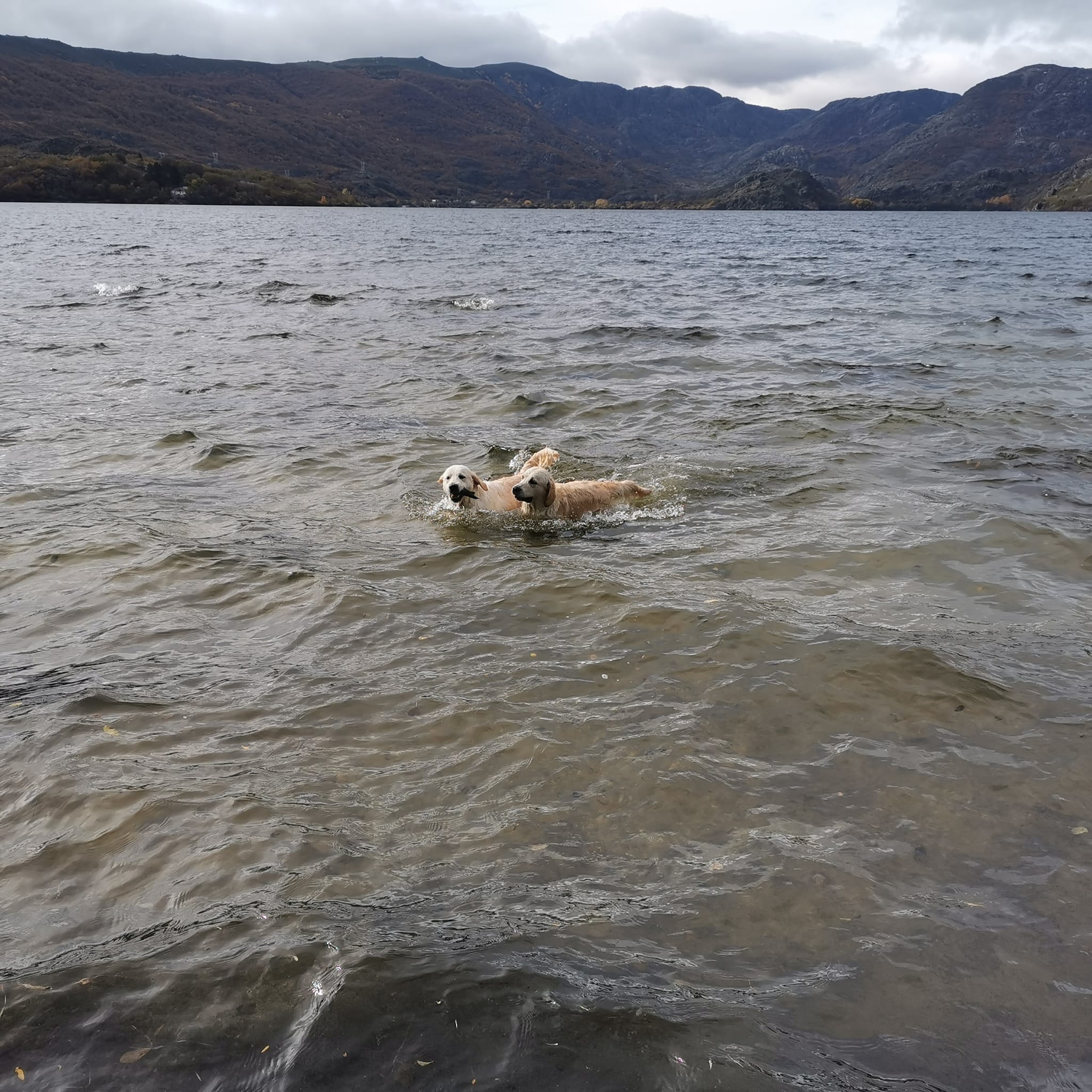 320886864_475057128143429_622855064638649781_n