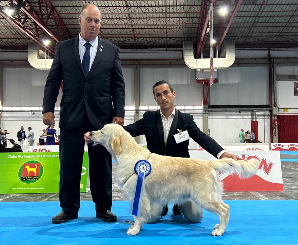 358454240_6911434125555847_3108947431133857717_n