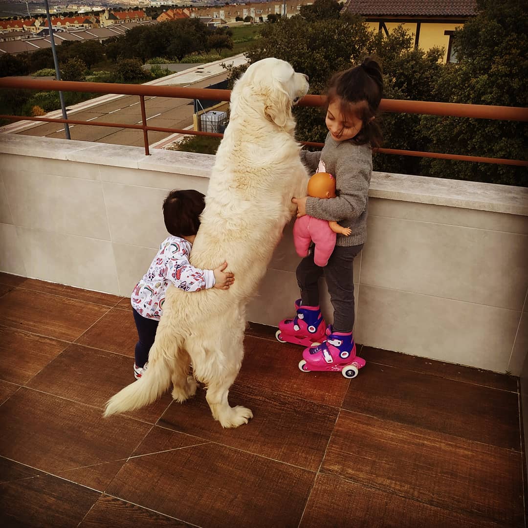 92215091_3263996573632972_9042809112059969536_n