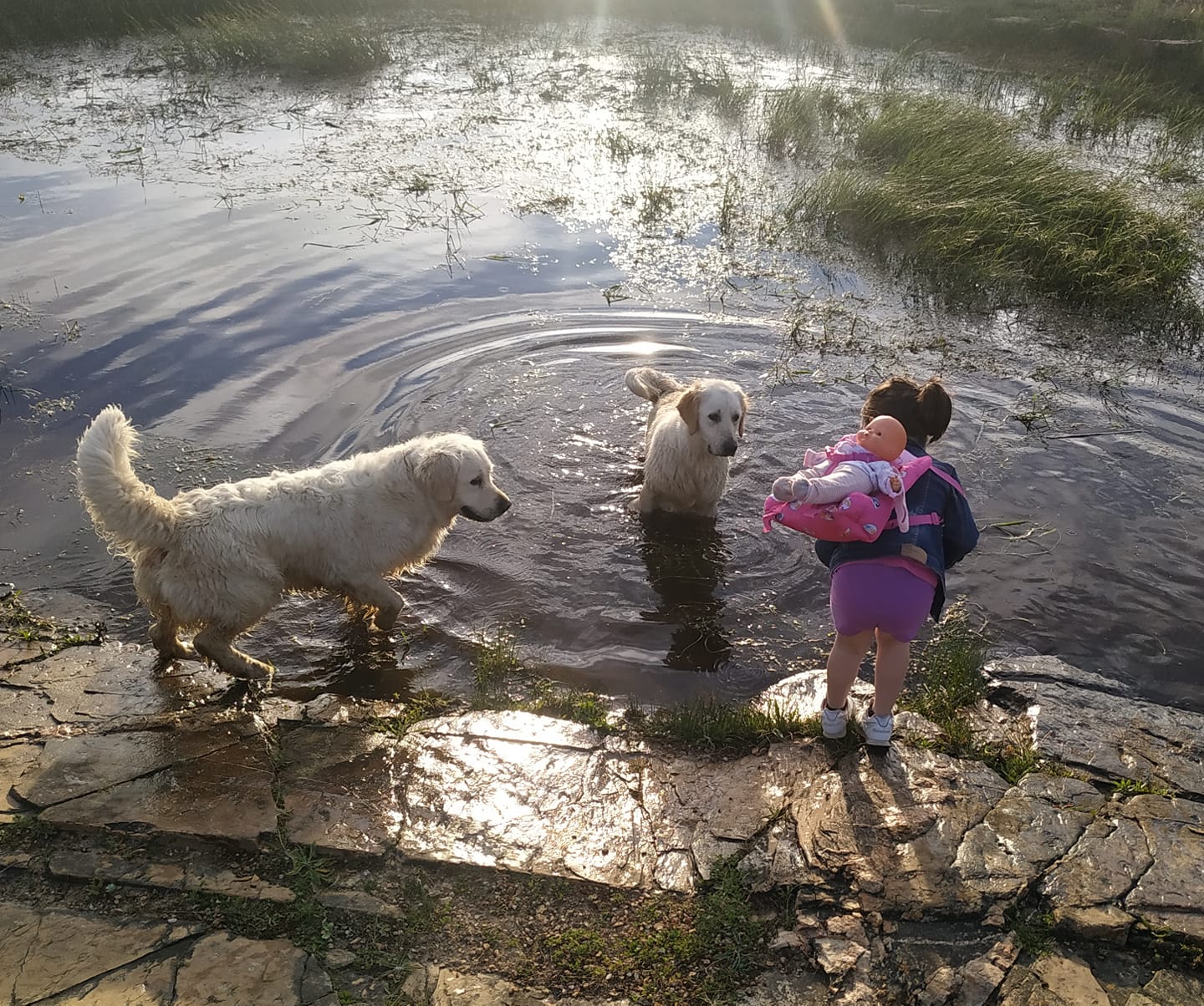 95487192_3331674883531807_8206001035844517888_n