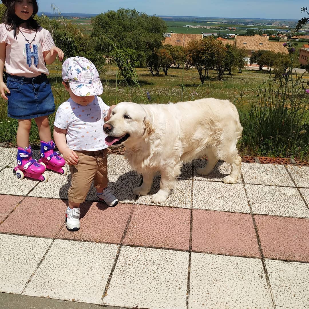 97616008_3345811142118181_7712716865008566272_n