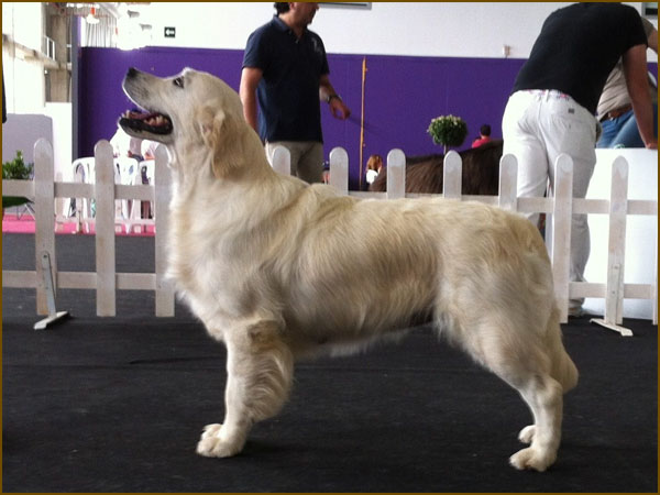 Angie expo Badajoz 2012