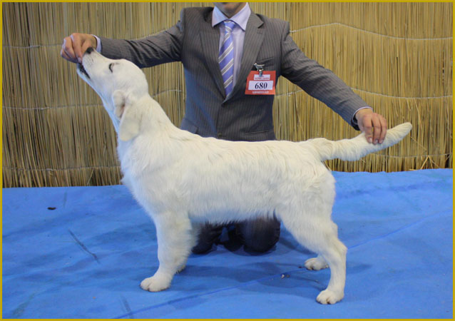 Angie expo Santarem 2010