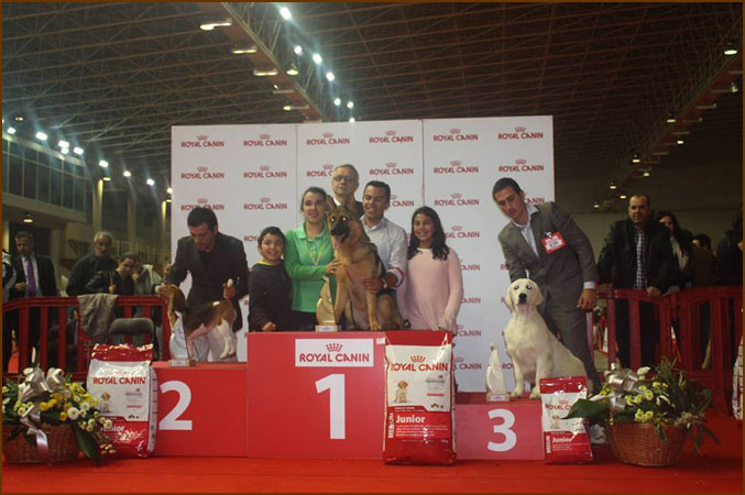 Floren Braga 2013 podium