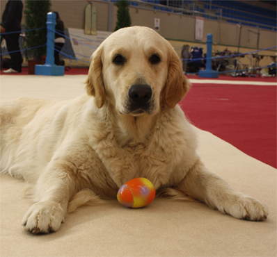 Hanna Oviedo 2012, 1