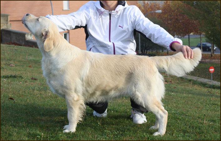 Hanna expo Azuaga (2)