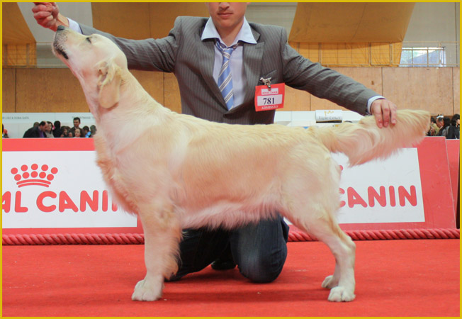 Hanna expo Braga 2010 (2)