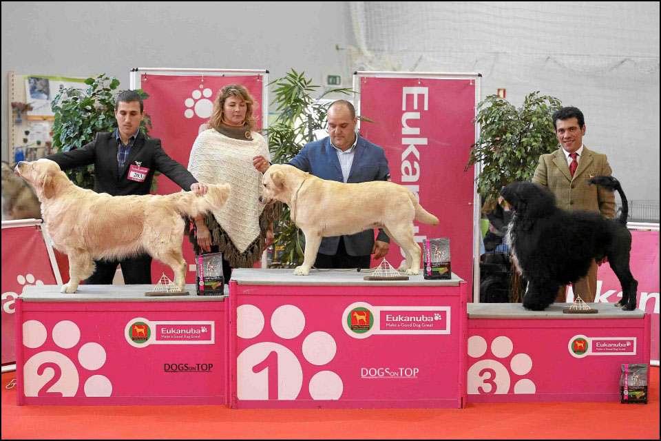 Hanna expo Sabugal 2012 (2)