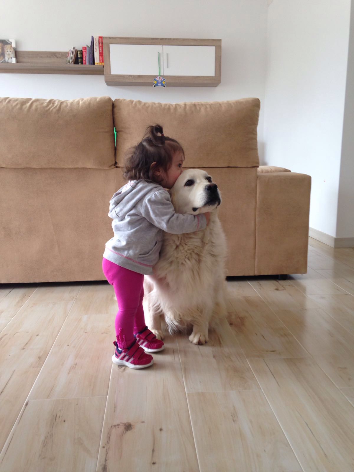 III IMG-20160528-WA0004