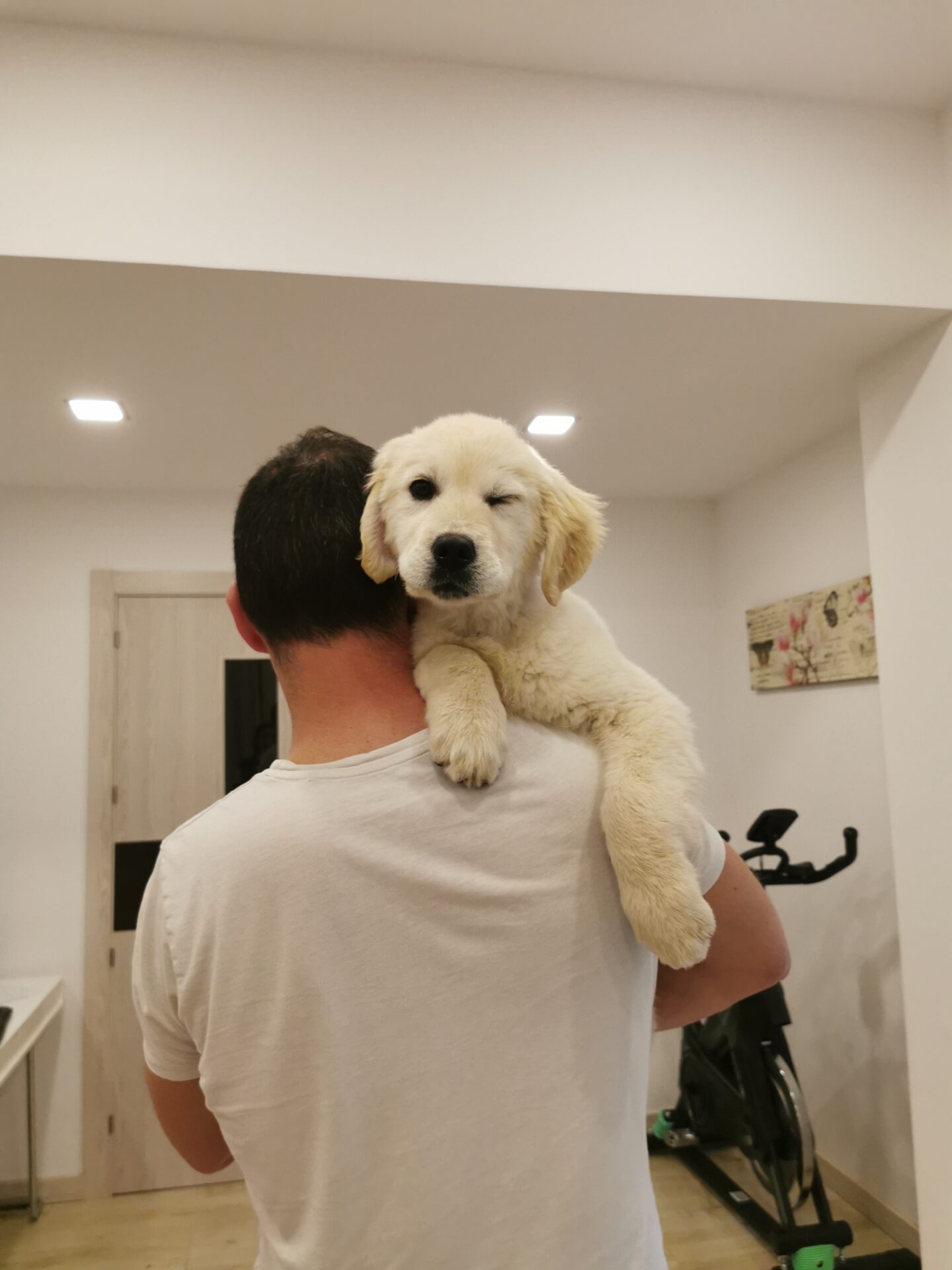 IMG_20220410_225944_1