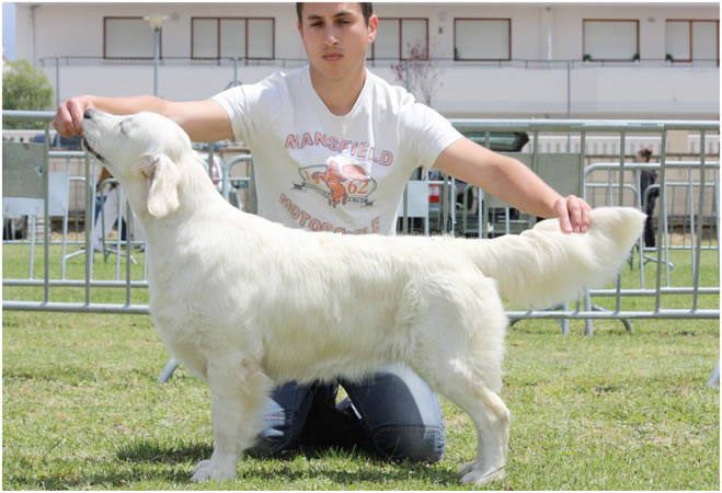 Lola Medina de Pomar