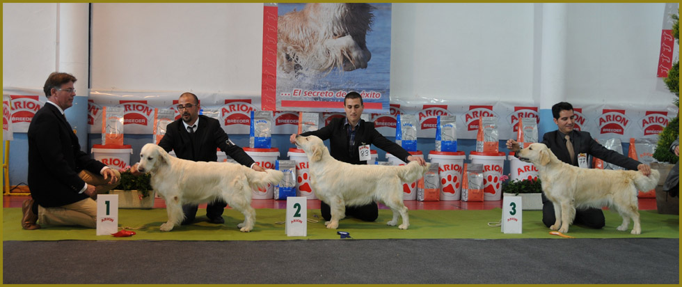 Lola Monografica 2012