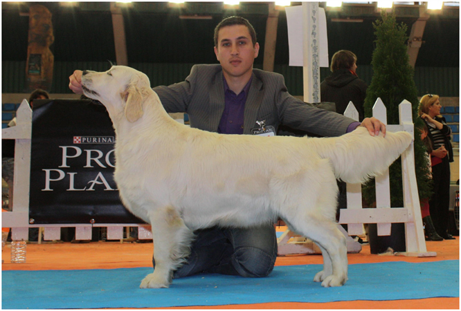 Lola expo Asturias 2010