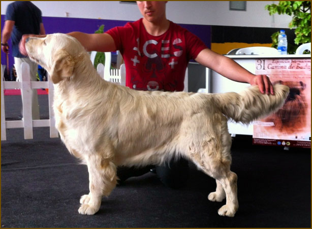 Lola expo Badajoz 2012