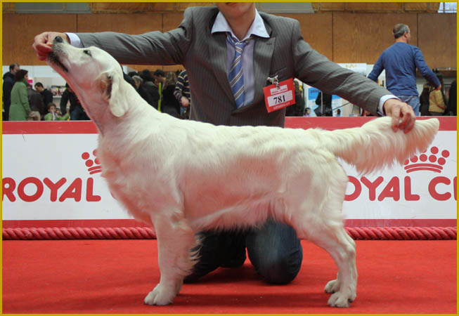 Lola expo Braga 2010