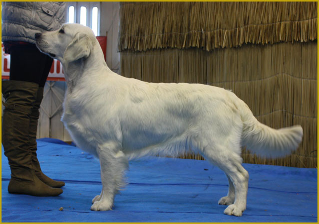 Lola expo Santarem 2010