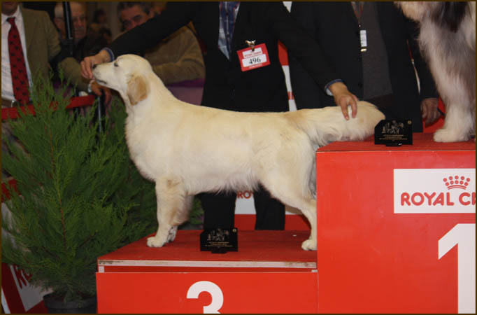 Nicole Santarem 2012 2