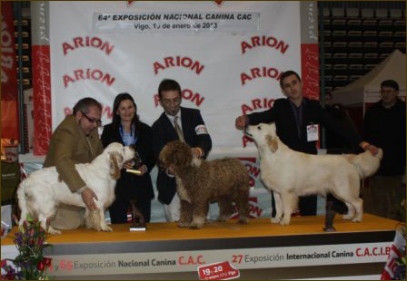 Nicole Santarem 2013 podium