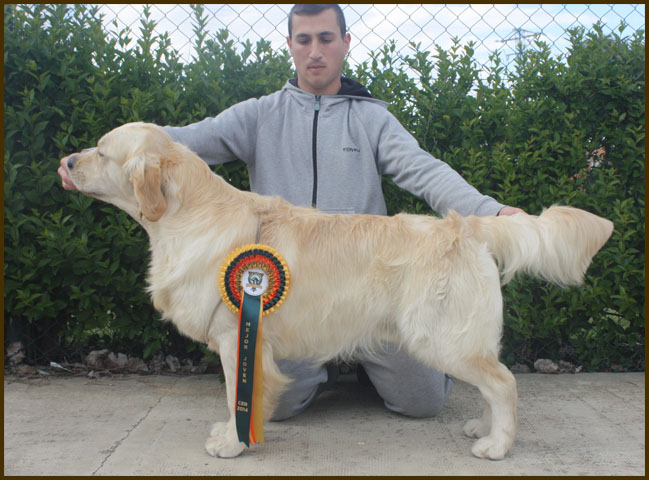 Pepo Mono B Madrid 2014