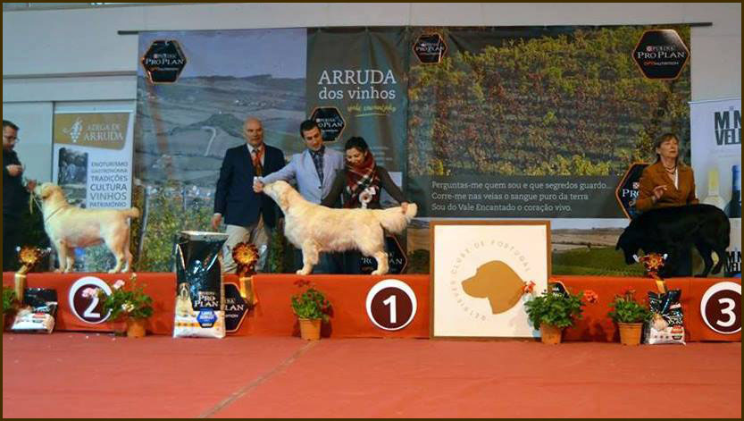 Rose Arruda podium