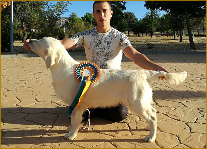 Sophie Campeona Joven Portugal