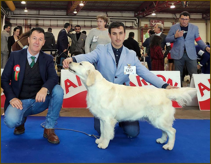 Wendy Oporto 2019 bob