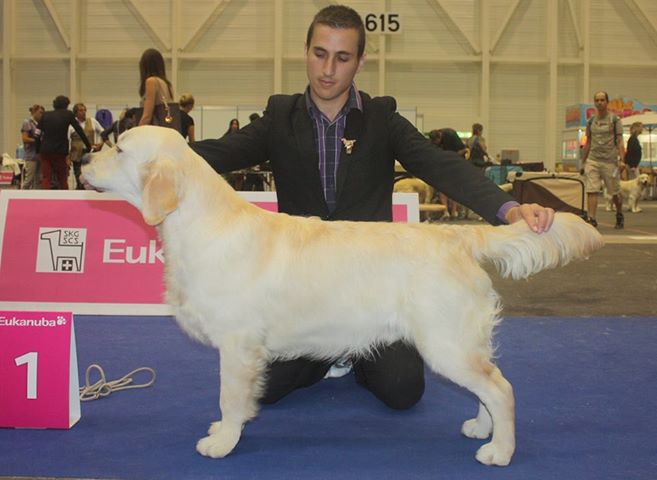 thumbnail_Pepo Europeo Suiza 2013